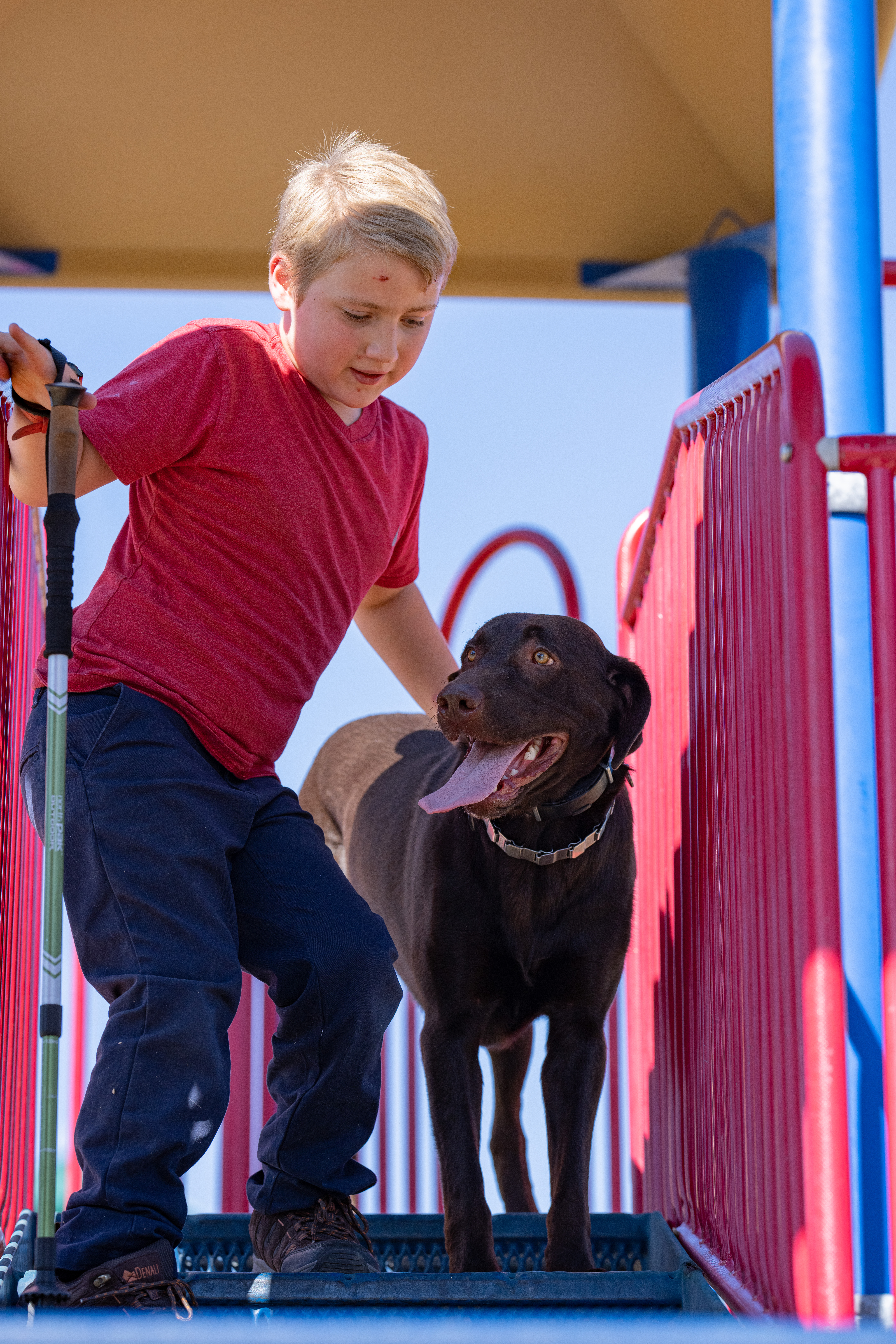service dogs for Children with Disabilities grants