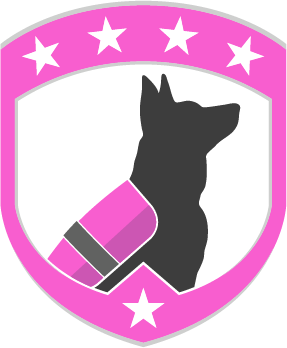 The Malinois Foundation provides service dogs to Women Survivors with disabilites at no cost to families.